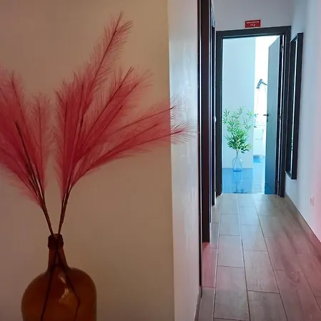 Friendly Apartment